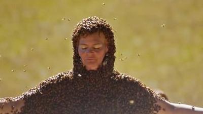 Terra X: Unglaublich! Wenn Wunder wahr werden