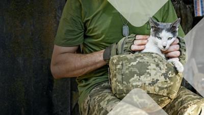 Terra X History: Staffel 2026, Folge 9: Tiere im Krieg - Spione, Boten und Kämpfer