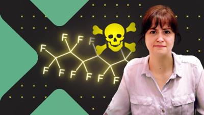 Terra Xplore: Staffel 2023, Folge 8: Wie schlimm sind Weichmacher, PFAs und Co.?
