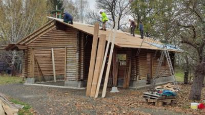 Terra Xpress: Holz – Das grüne Gold