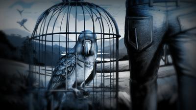 Umwelt Crime: Staffel 1, Folge 4: Das Millionengeschäft des Vogelschmugglers Umwelt Crime: Staffel 1, Folge 4: Das Millionengeschäft des Vogelschmugglers