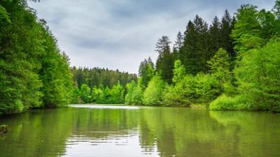 Unsere Wälder: Staffel 1, Folge 3: Im Reich des Wassers