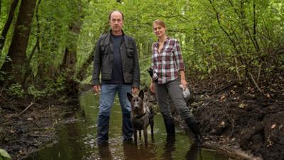 Wendland: Staffel 1, Folge 5: Stiller und der Wolf im Schafspelz