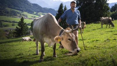 Wozu noch Ackern? Landwirtschaft in Gefahr: Staffel 1, Folge 2: Sommer auf der Alpe Film von Patricia Schäfer und Anna Gürth