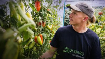 Wozu noch Ackern? Landwirtschaft in Gefahr: Staffel 1, Folge 3: Hoffnung auf dem Acker Film von Patricia Schäfer und Anna Gürth