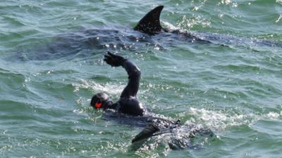 Wunder der Wissenschaft: Staffel 1, Folge 2: Feuer-Wasserfall und leuchtende Haie