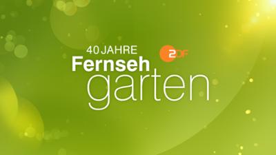ZDF-Fernsehgarten: Fußball Party