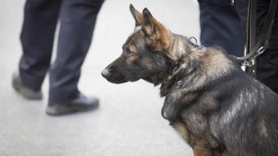 ZDFinfo - die Einzeldokus: Staffel 2019, Folge 92: Die innere Unsicherheit – Wenn Bürger Streife gehen ZDFinfo - die Einzeldokus: Staffel 2019, Folge 92: Die innere Unsicherheit – Wenn Bürger Streife gehen