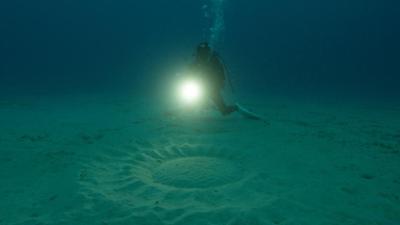 ZDFinfo - die Einzeldokus: Staffel 2018, Folge 275: Der geheimnisvolle Ozean 