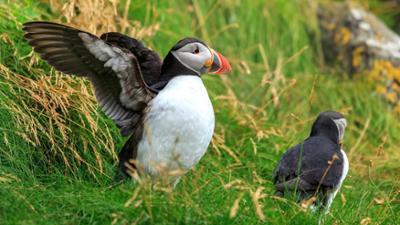 ZDFinfo Doku: Tierische Superbauten: In bester Gesellschaft