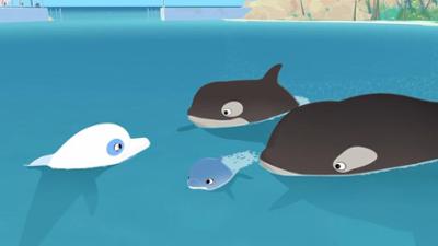 Zoom - Der weiße Delfin: Papa Zoom