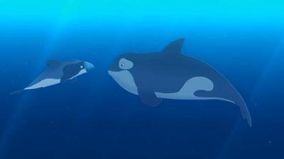 Zoom - Der weiße Delfin: Neu programmiert Zoom - Der weiße Delfin: Neu programmiert