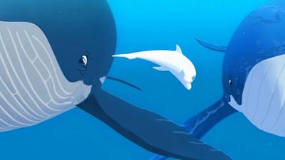 Zoom - Der weiße Delfin: Anitas Abschied - Teil 1 Zoom - Der weiße Delfin: Anitas Abschied - Teil 1